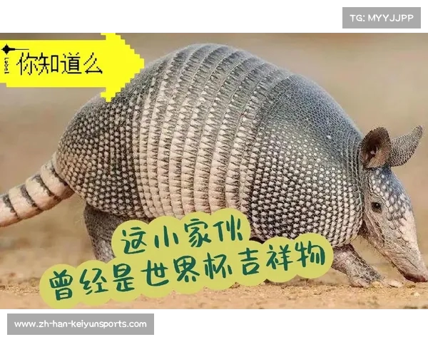 2002世界杯吉祥物与2014巴西世界杯吉祥物的设计演变与文化意义探讨